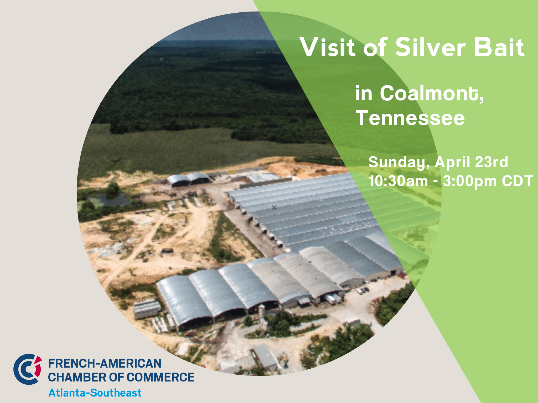 Visit of Silver Bait in Coalmont, Tennessee Global Atlanta